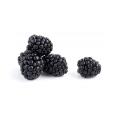 2   (16-oz.) packages frozen blackberries