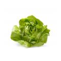 4 cups torn boston lettuce