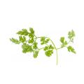 1/4 cup chopped fresh chervil