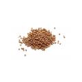 1/2 teaspoon whole coriander seed