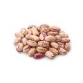 15 ounces cooked cranberry beans (dried are best to work with)