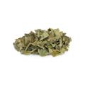 1/2 bunch epazote, chopped