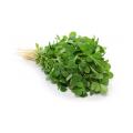 1 tsp kasoori methi (dried fenugreek leaves);