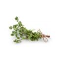 3 fresh marjoram sprigs
