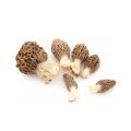 1/2 pound  morel mushrooms, halved lengthwise