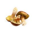 1 ounce of dried porcini mushrooms