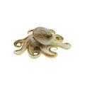 Musk or baby octopus, 1 ½ pounds /750 g, cleaned and whole