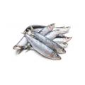 1 (3 3/4- to 4 3/8-oz) can sardines in oil, drained