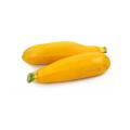 1 medium summer squash